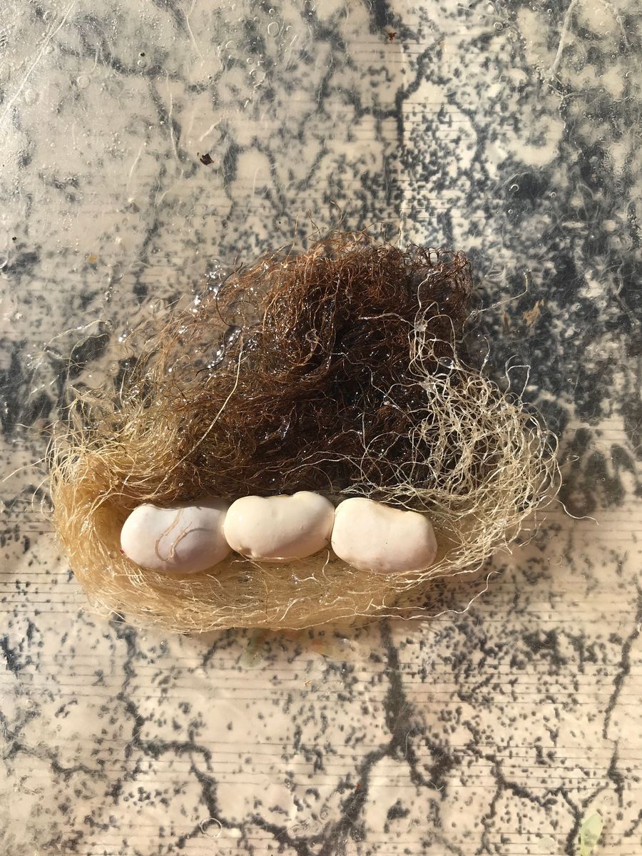 embedded, giant beans and corn hair on print