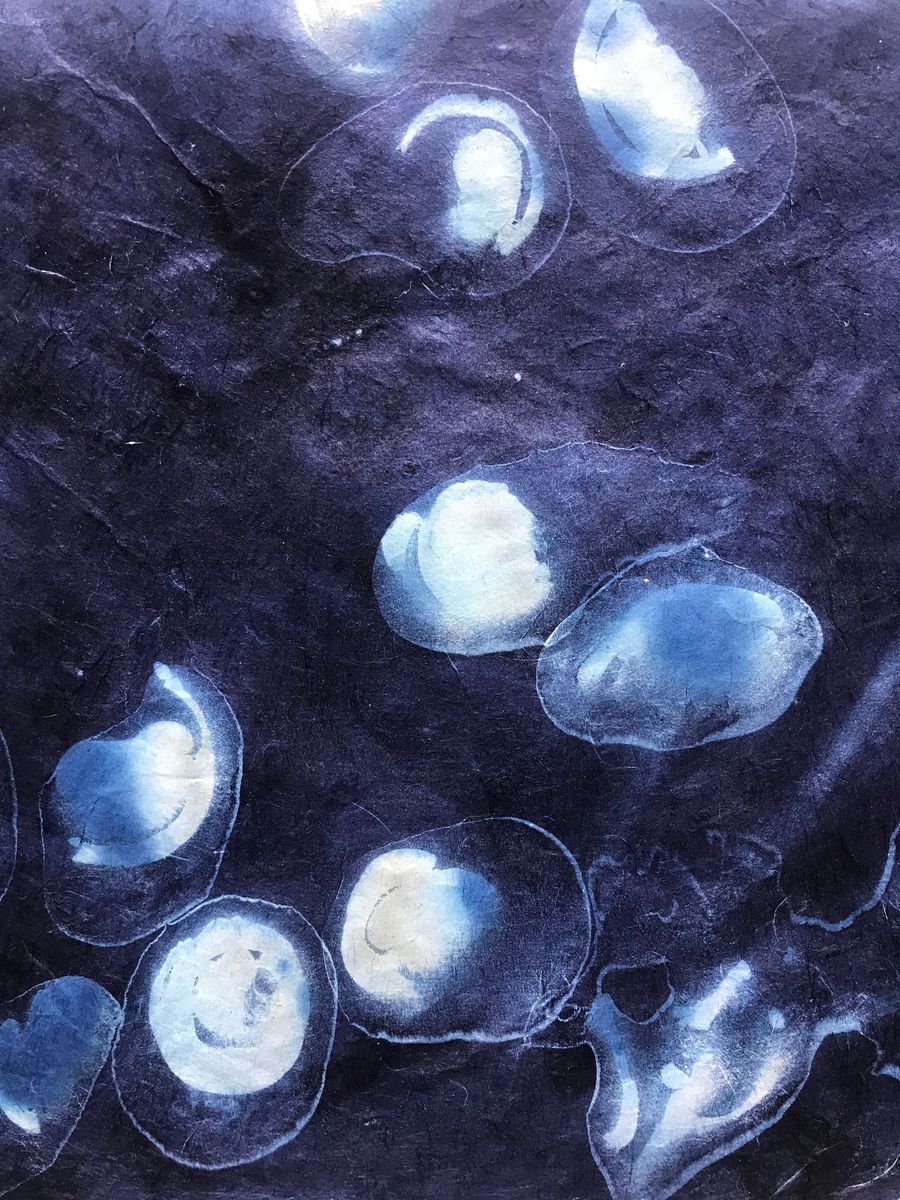 primordial forms, cyanotype on hemp paper