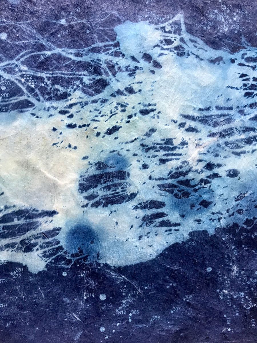 structure (plant and stars), cyanotype on hemp paper