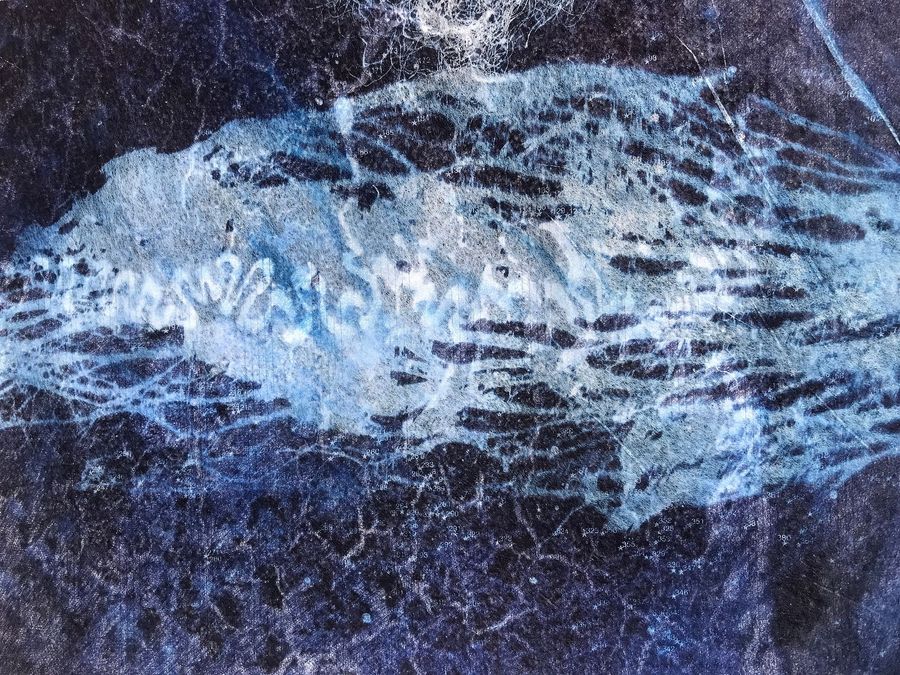 cyanotypes by Daniela Parhisi