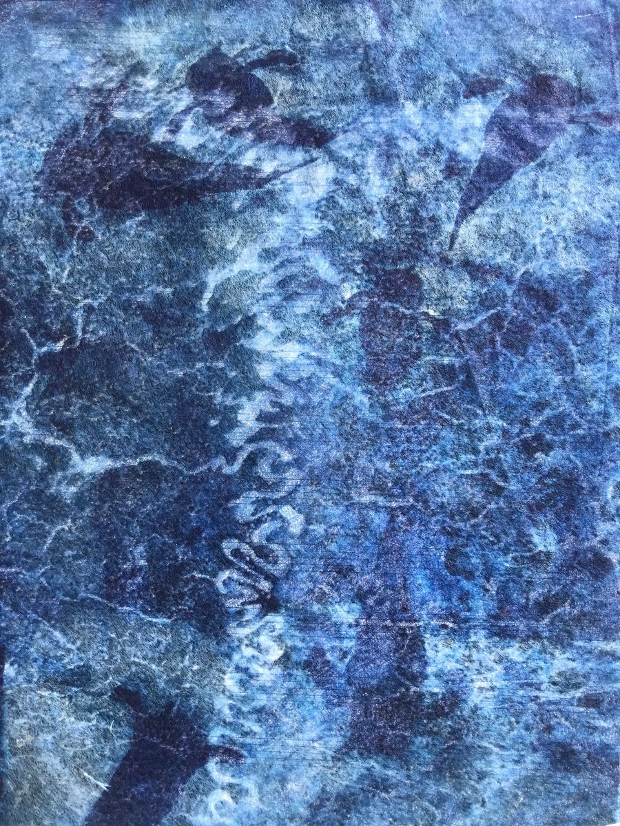 cyanotypes by Daniela Parhisi