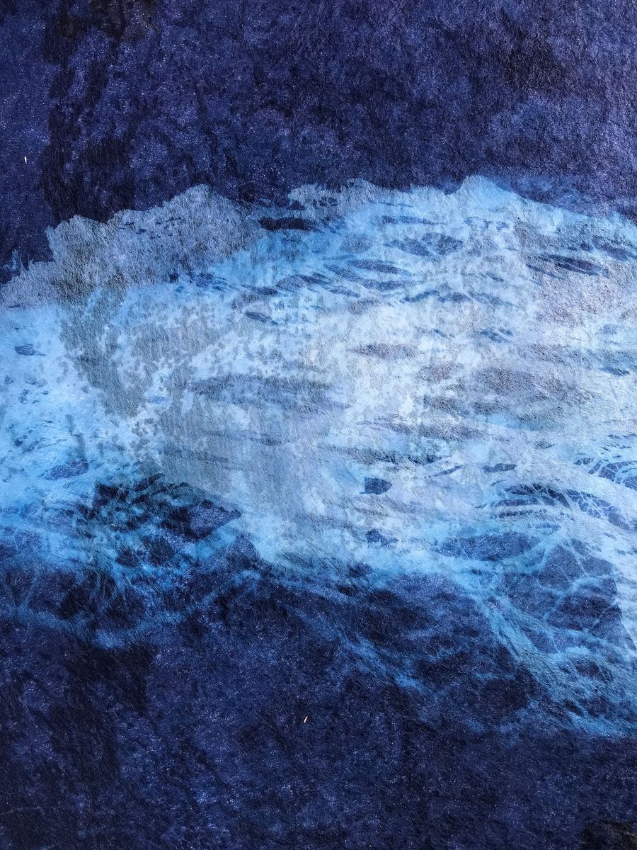 cyanotypes by Daniela Parhisi