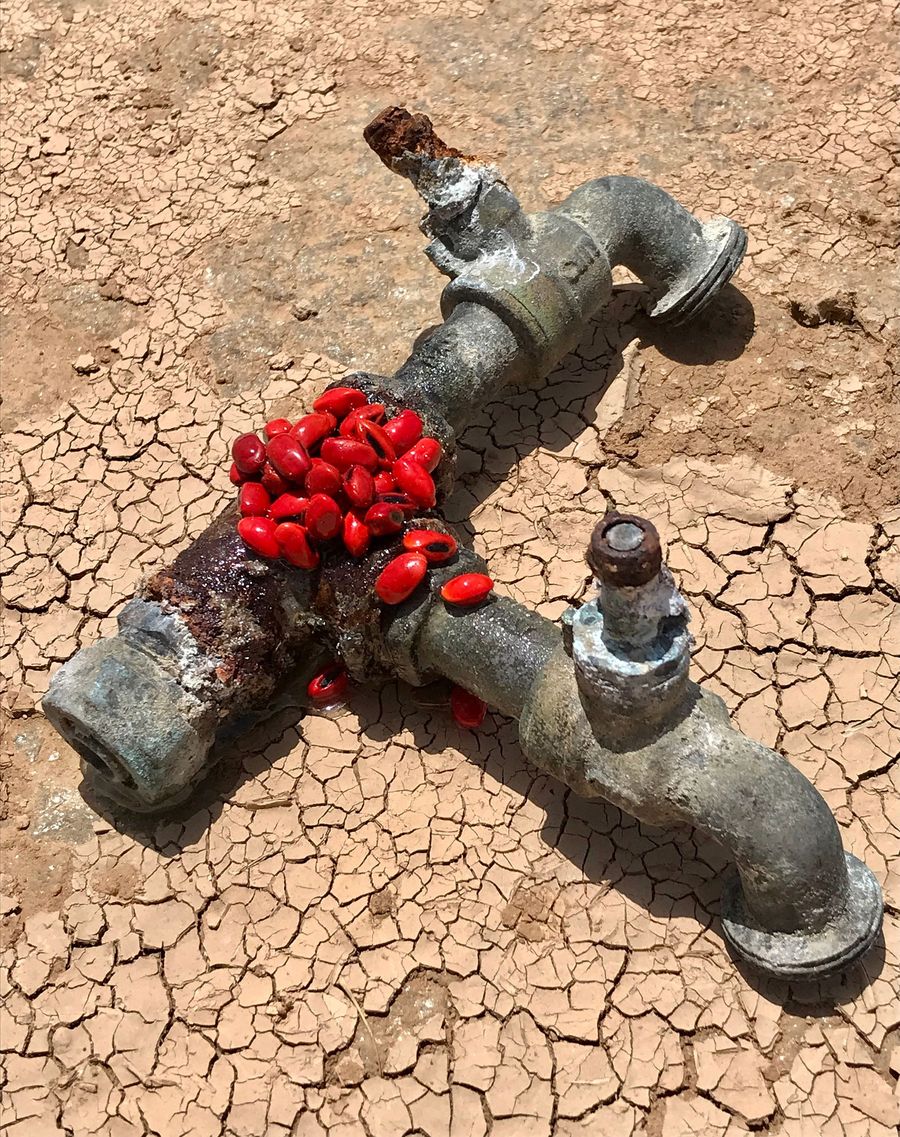 there will be new life, red beans poured with resin on rusty faucet