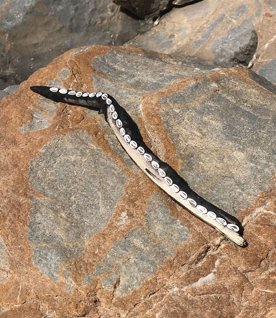 there will be new life, painted seeds on burned branch