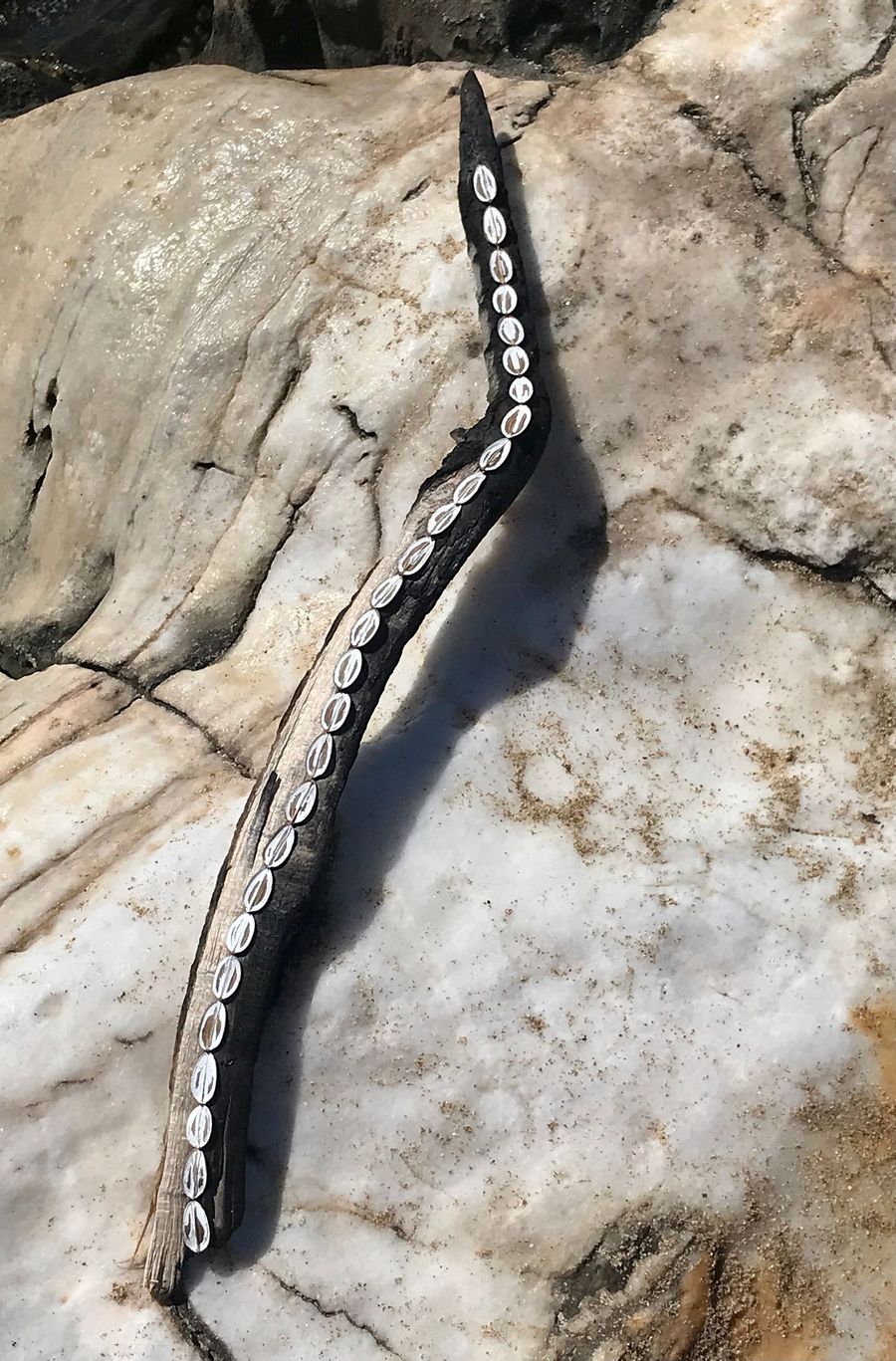 there will be new life, painted seeds on burned branch