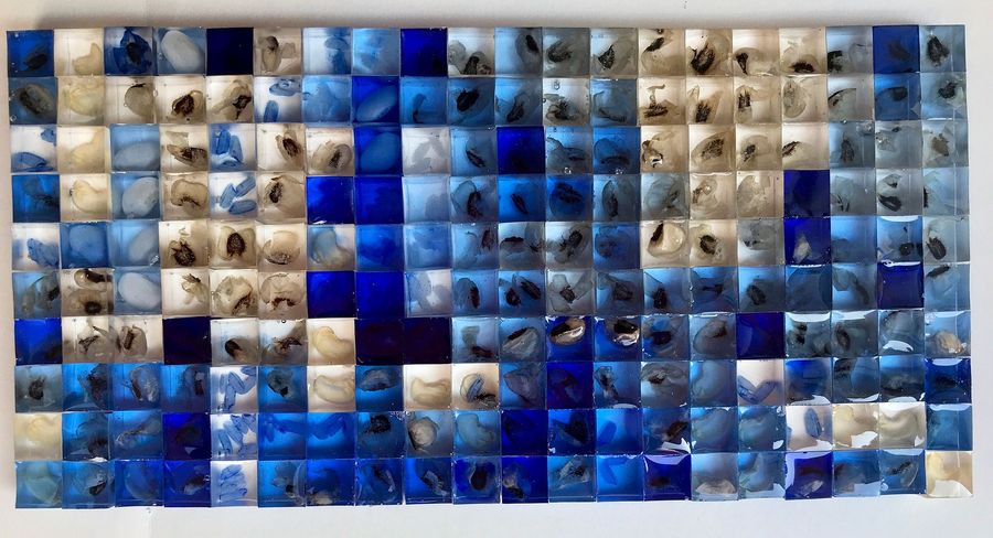 cubes of consciousness, bean shells and rice grains in resin cubes