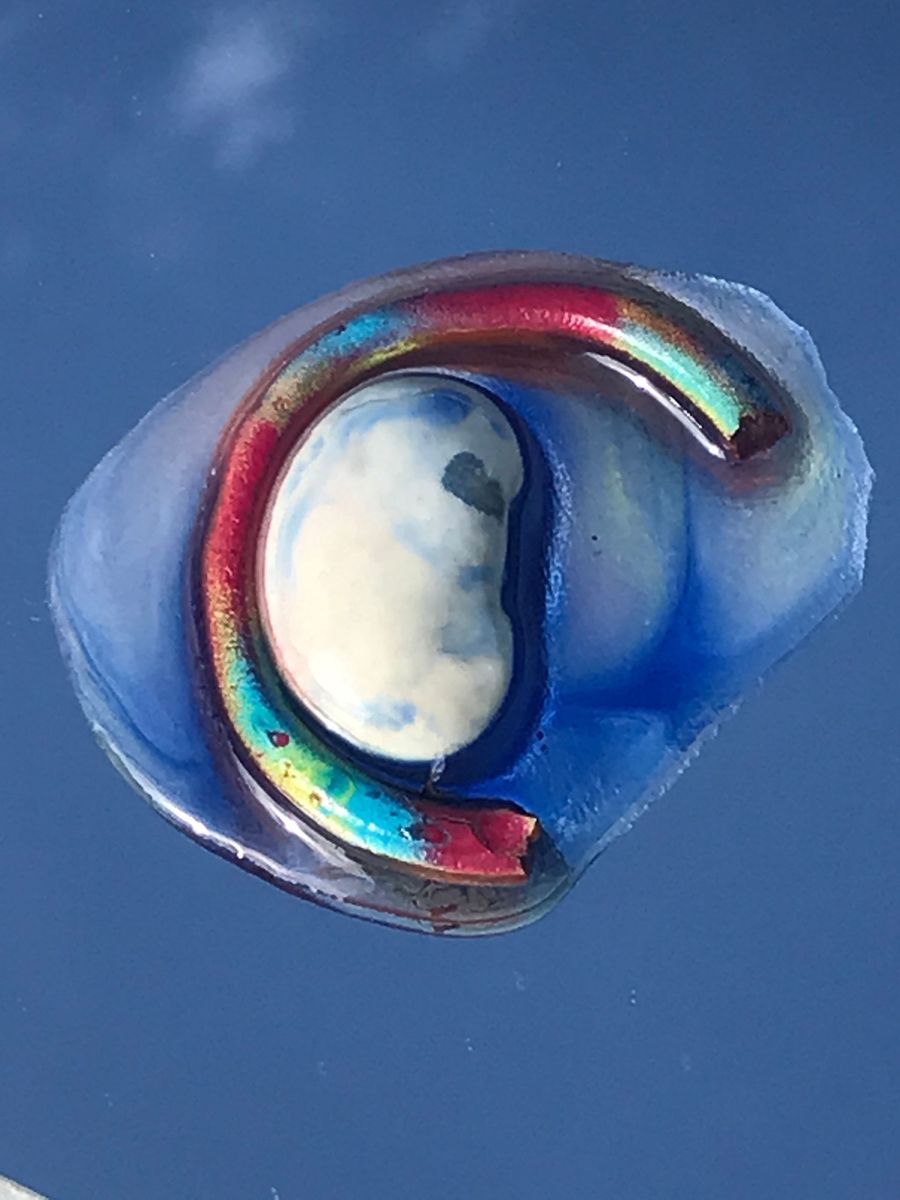 heavenly bean, giant bean and clay poured with resin