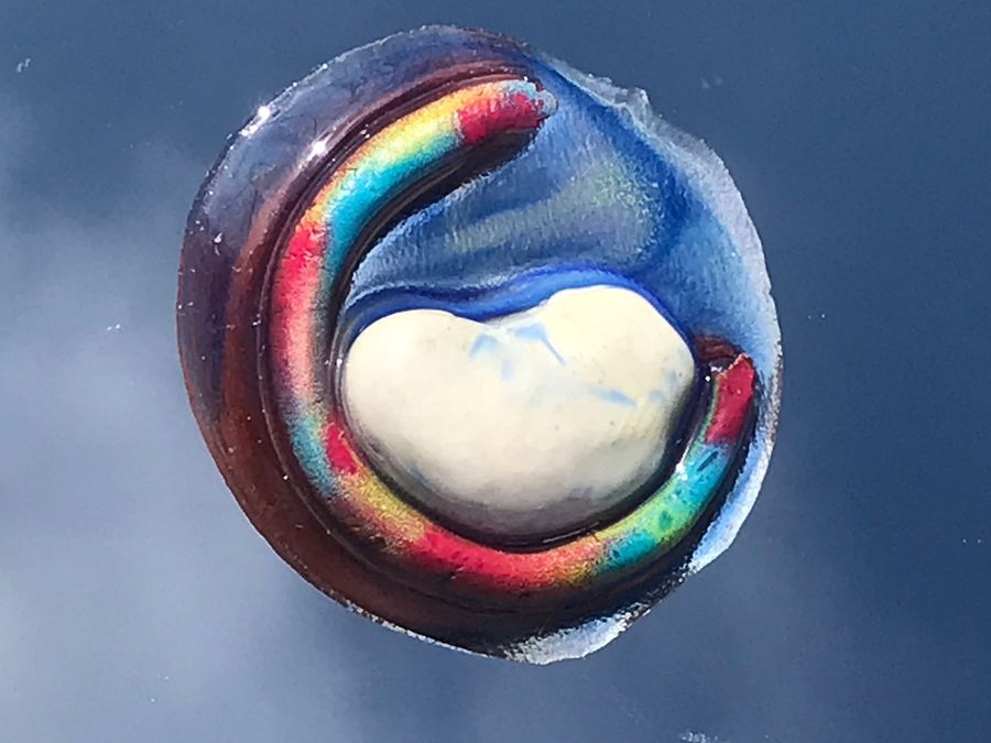heavenly bean, giant bean and clay poured with resin, held against the sky