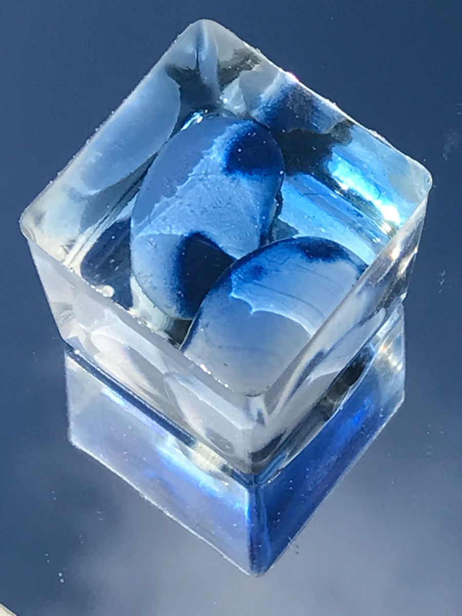 heavenly bean, giant beans in resin cube