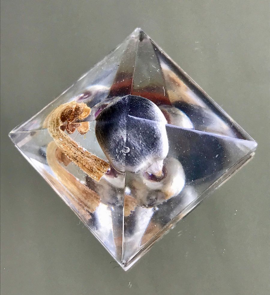 holy corn, black corn seed in resin