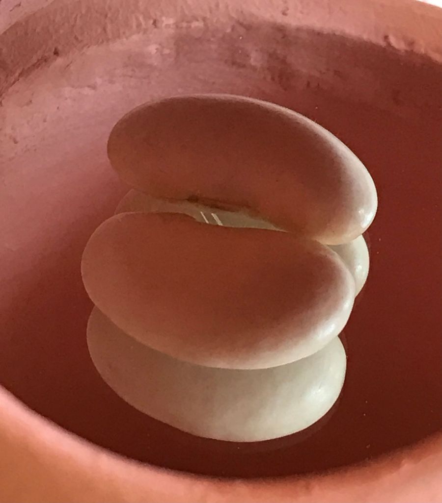 house of lovers, clay dome with two giant beans inside
